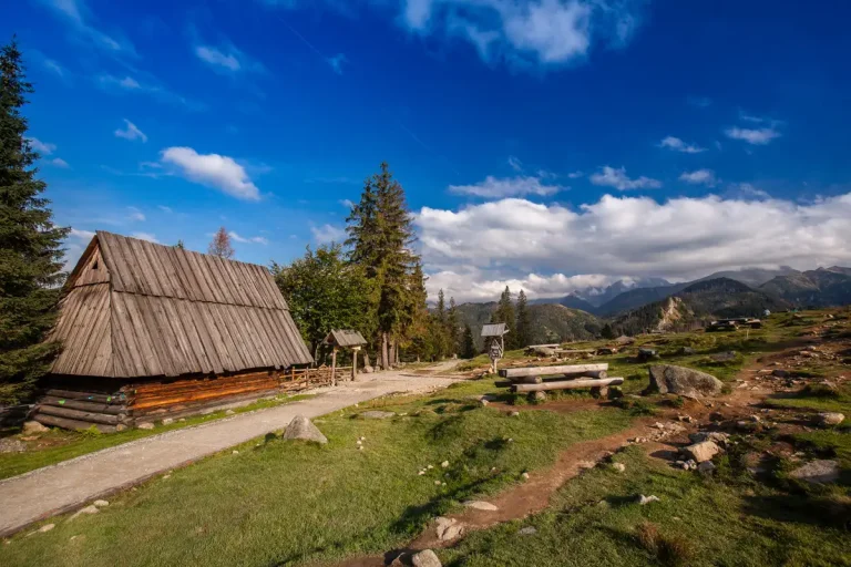 1200 Rusinowa Polana Atrakcje Jagodowa Osada 768x512