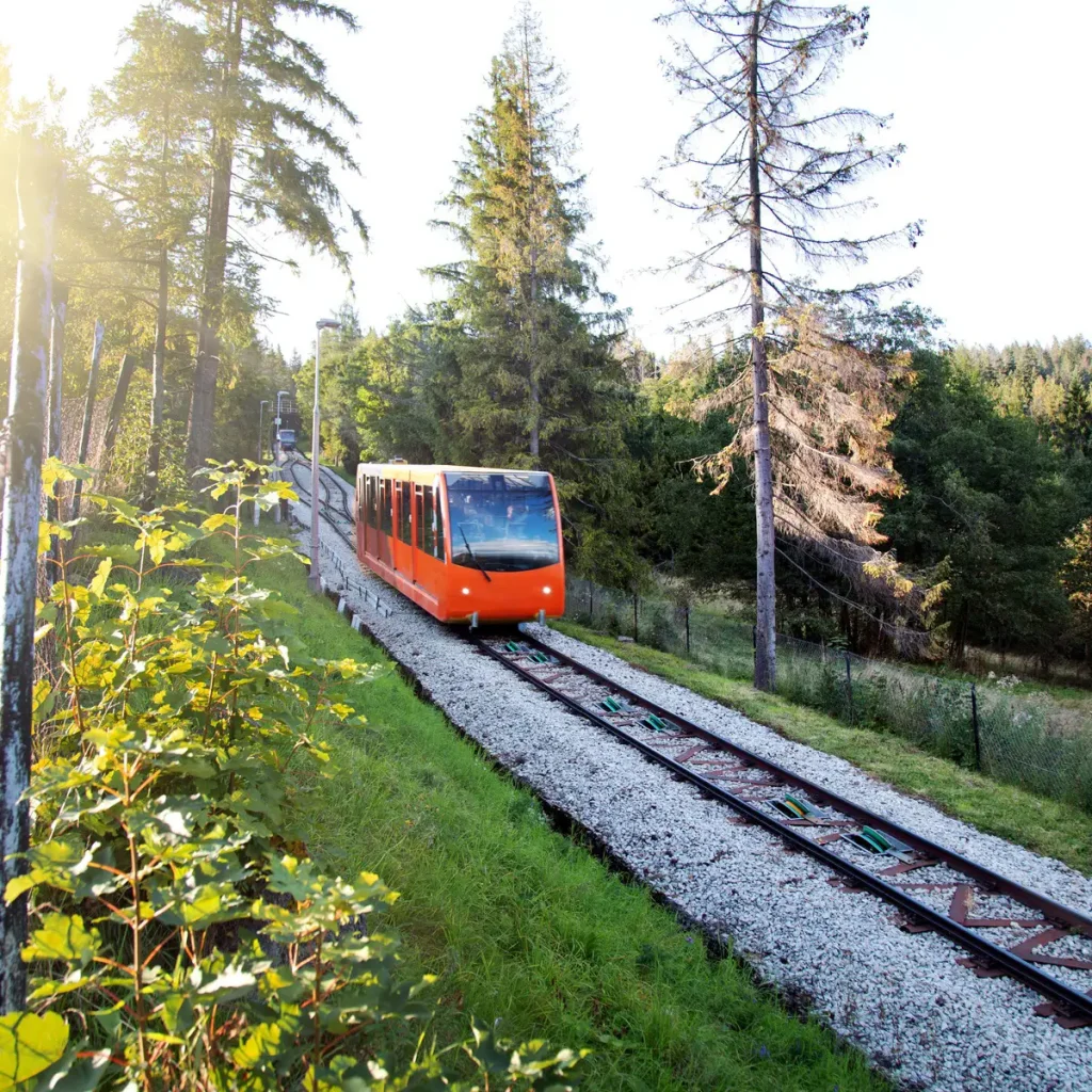 1x1 1200 Gubalowka Atrakcje Jagodowa Osada 1024x1024