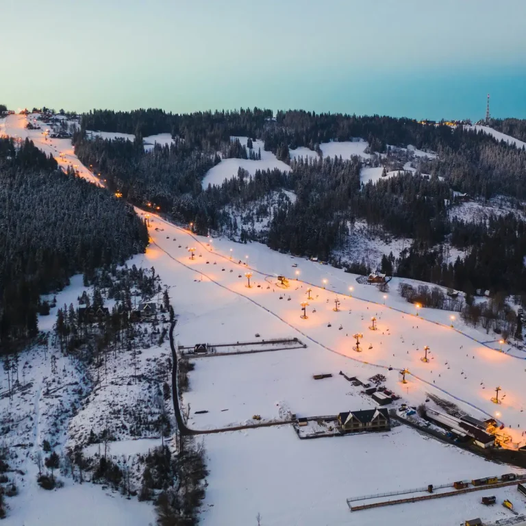 1x1-1200-Polana-Szymoszkowa-atrakcje-jagodowa-osada