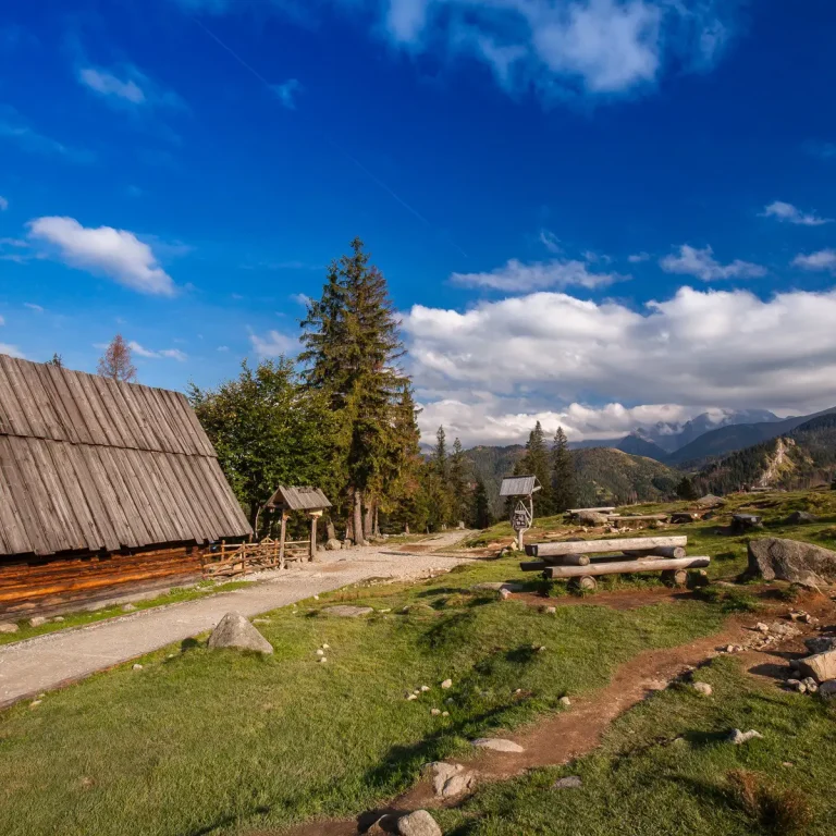 1x1-1200-Rusinowa-Polana-atrakcje-jagodowa-osada