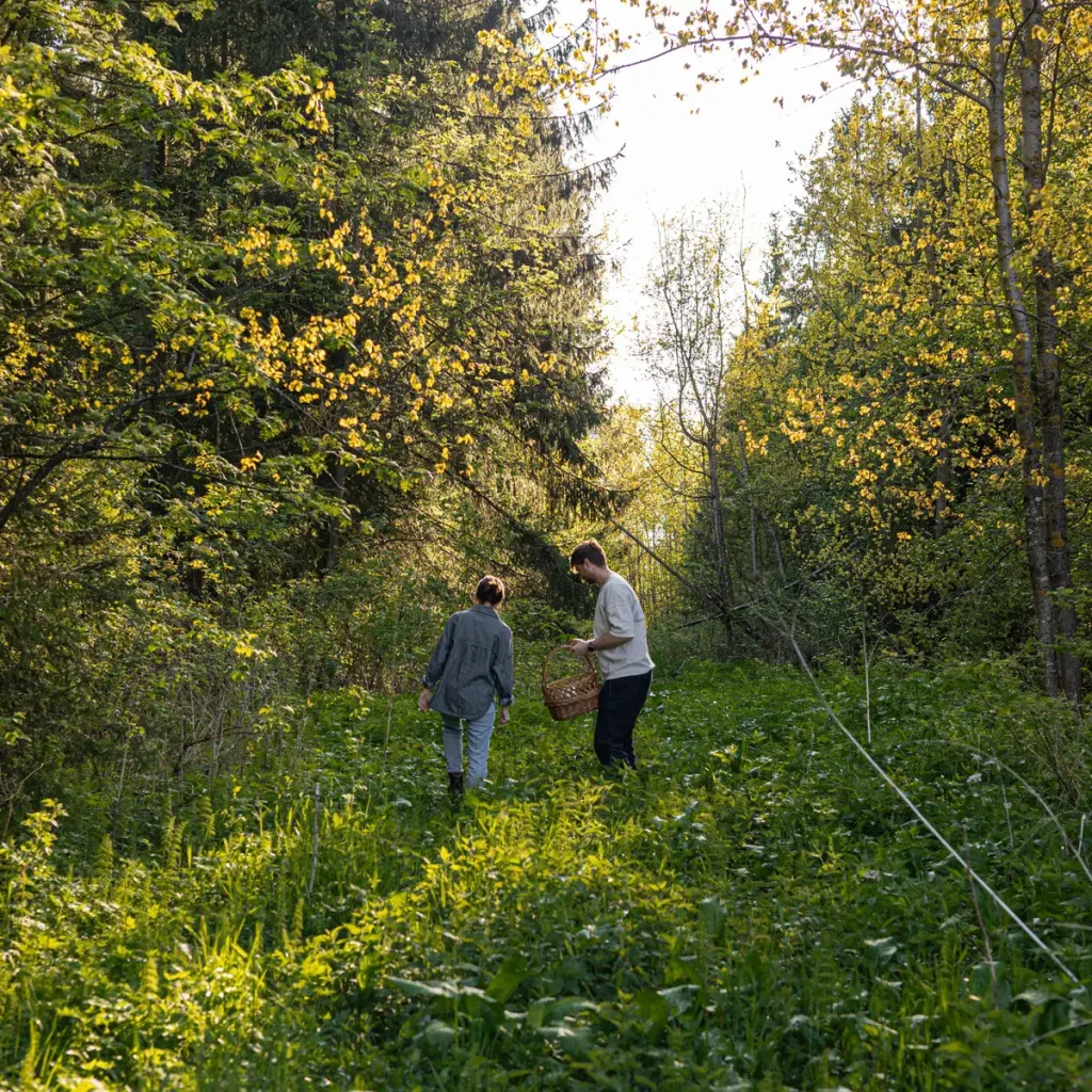 1x1 1200 Zakopane Domki W Gorach Grzybobranie Las 1024x1024