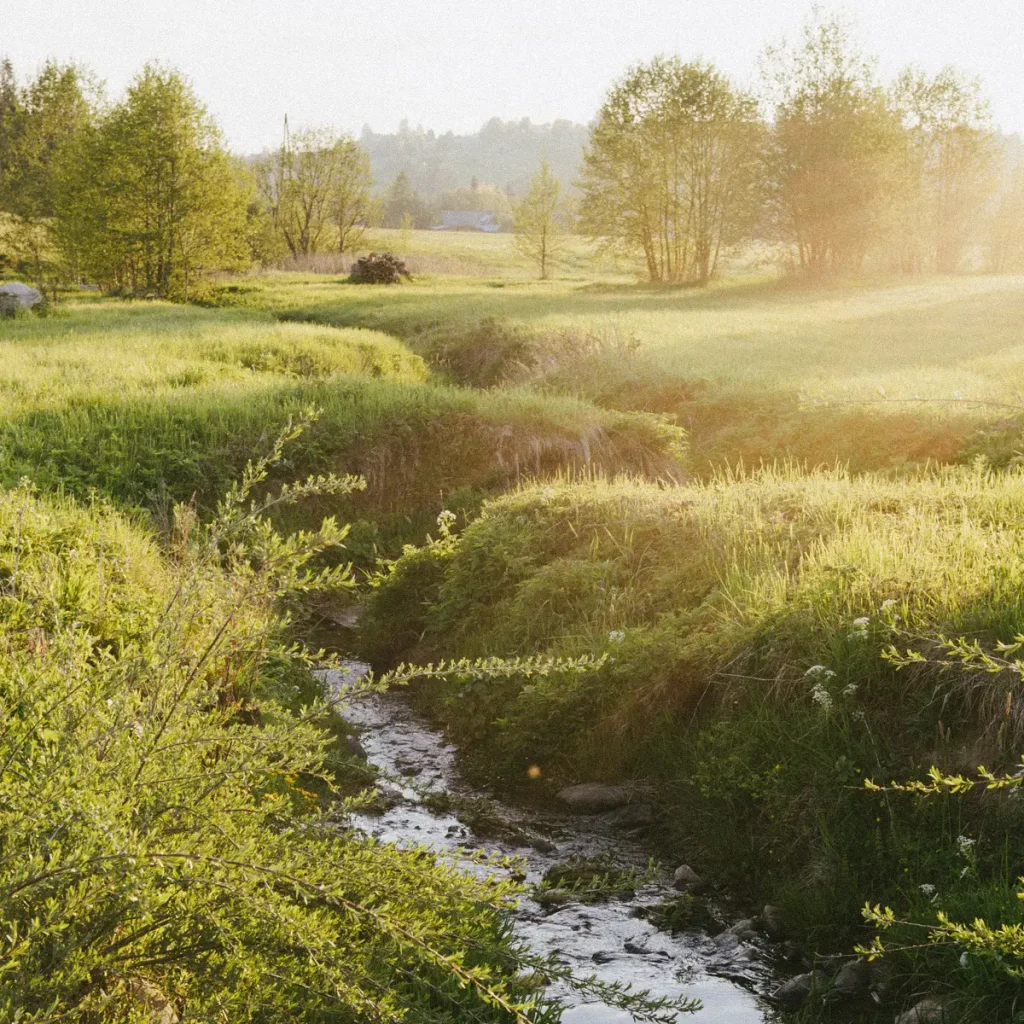 1x1 1200 Domki W Gorach Potok Trawa Slonce 1024x1024